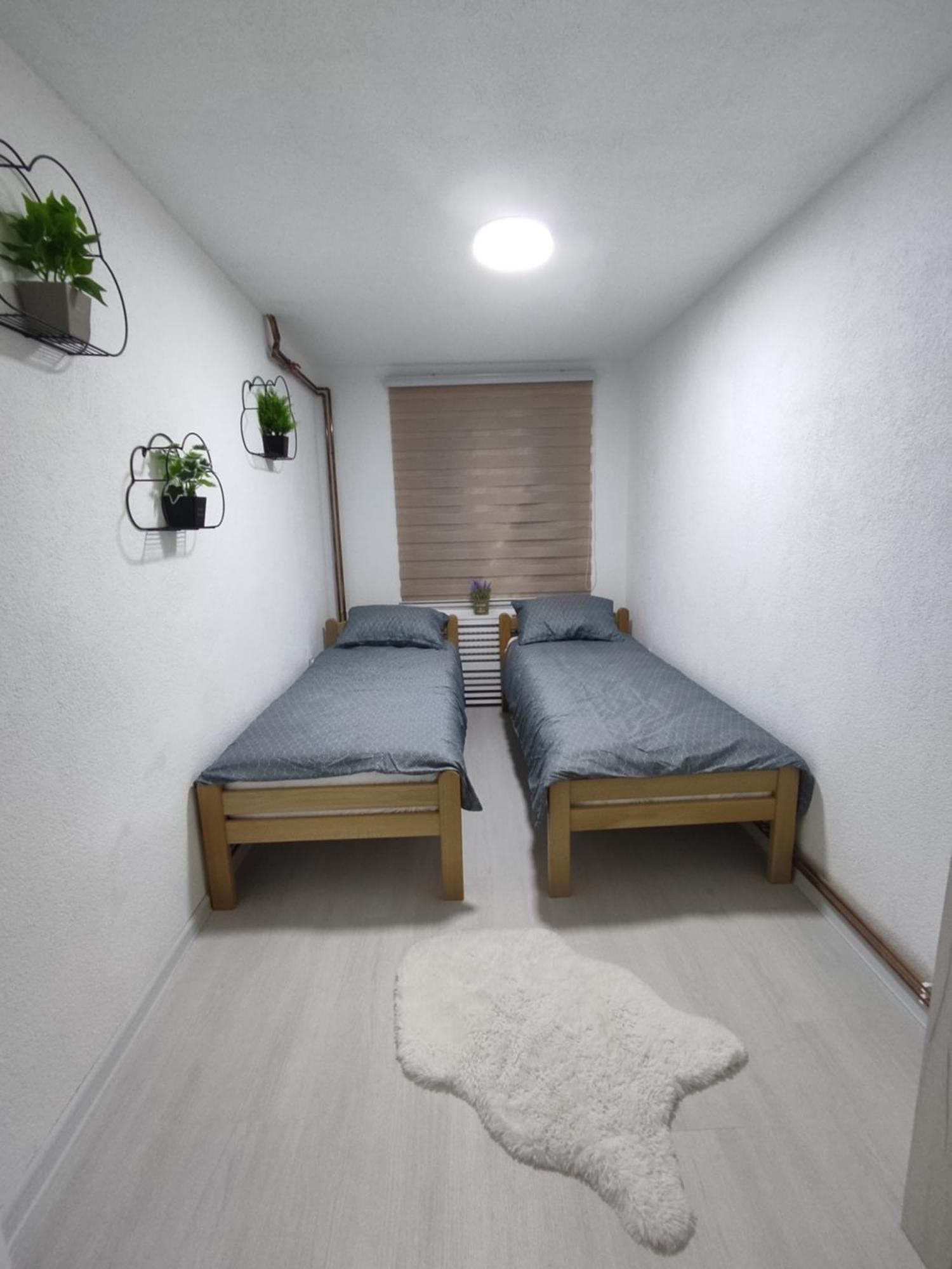 Ticina Apartment 塞拉耶佛 外观 照片