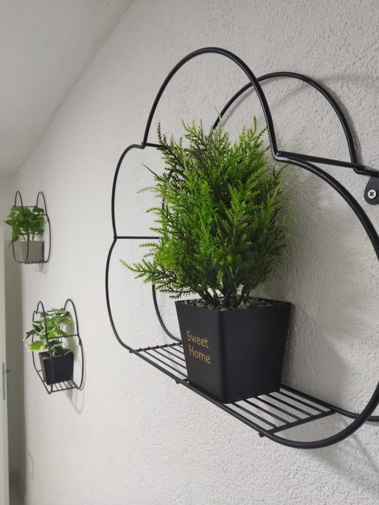 Ticina Apartment 塞拉耶佛 外观 照片